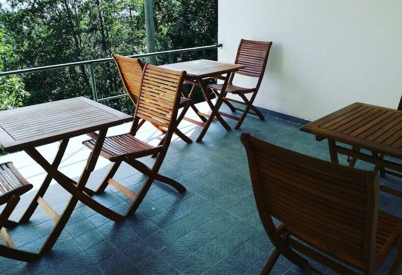 פנסיון Berzuaia