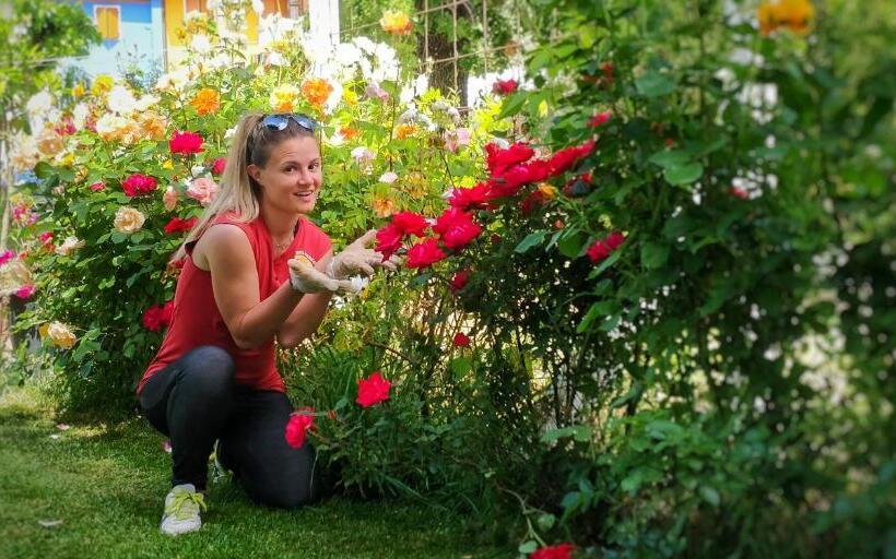 ベッドアンドブレックファースト La Luna Nel Parco