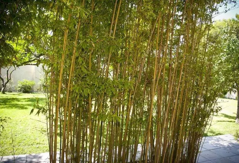 تختخواب و صبحانه La Villa Della Meda