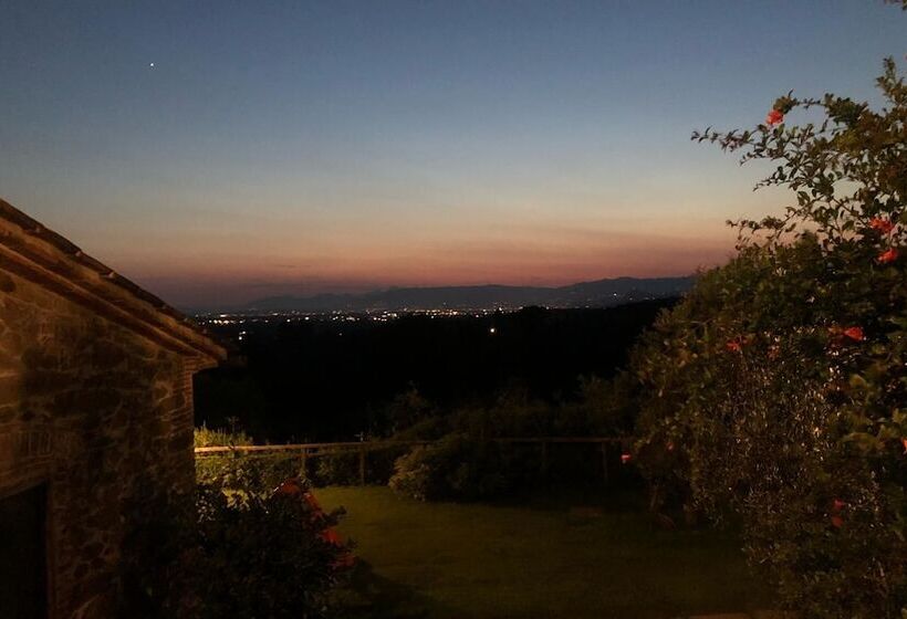 בית מלון כפרי Podere Jana Antico Frantoio