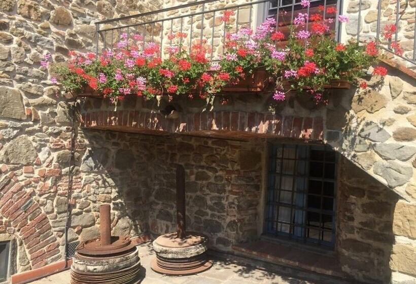 בית מלון כפרי Podere Jana Antico Frantoio