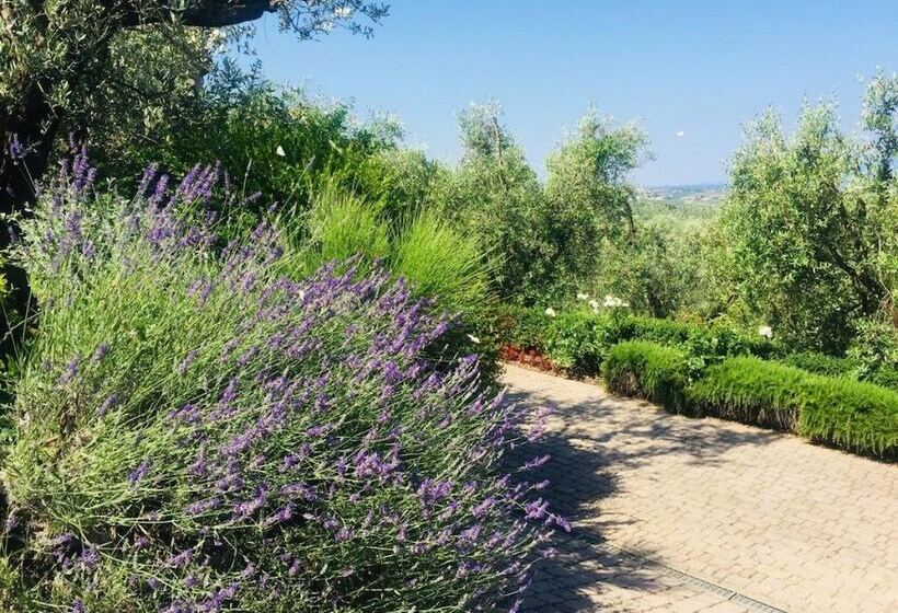 בית מלון כפרי Podere Jana Antico Frantoio