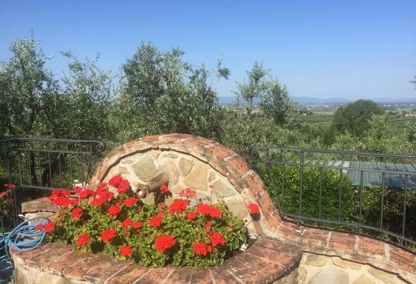 בית מלון כפרי Podere Jana Antico Frantoio