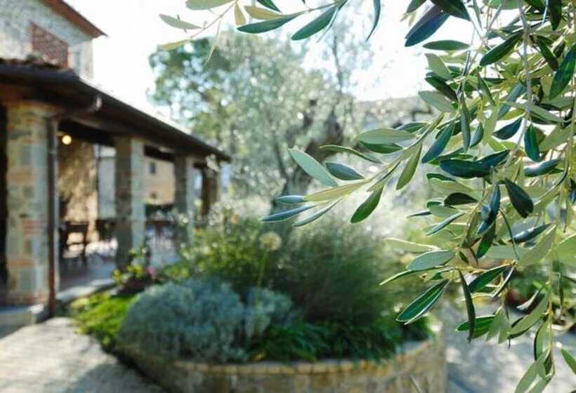 בית מלון כפרי Podere Jana Antico Frantoio