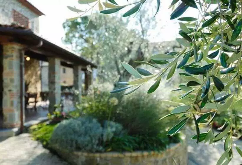 ホテル Podere Jana Antico Frantoio