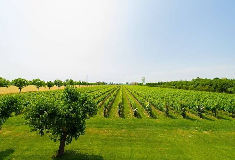 Hotel wiejski Agriturismo Albafiorita