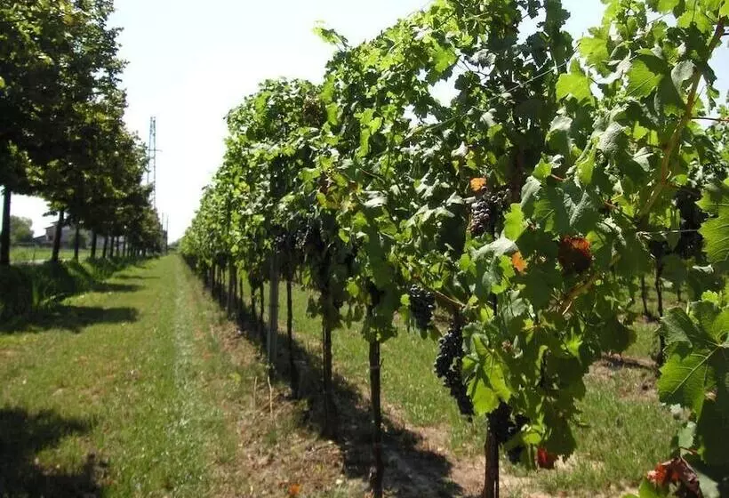 田舎風ホテル Agriturismo Albafiorita