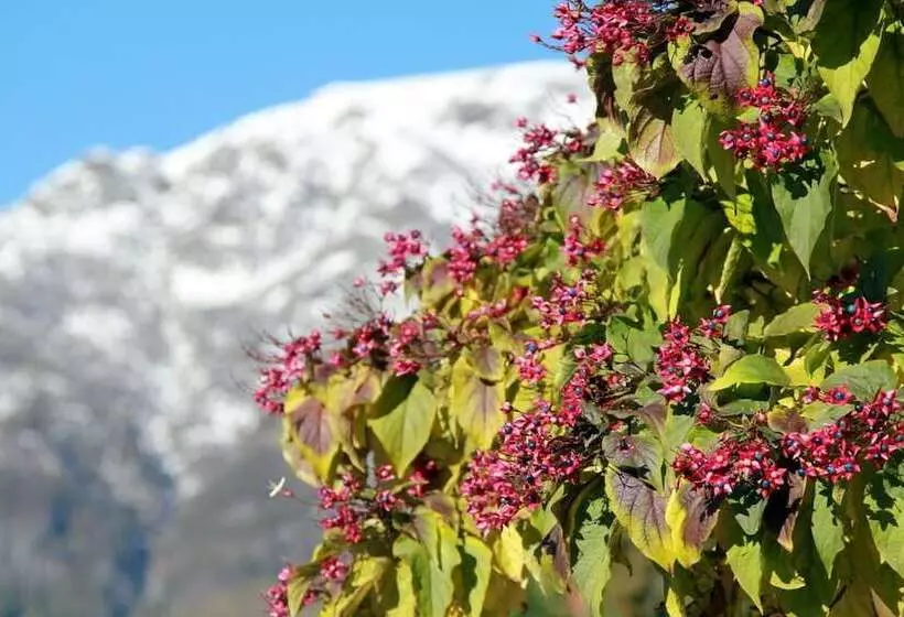 Maaseutuhotelli Cascina Del Forte