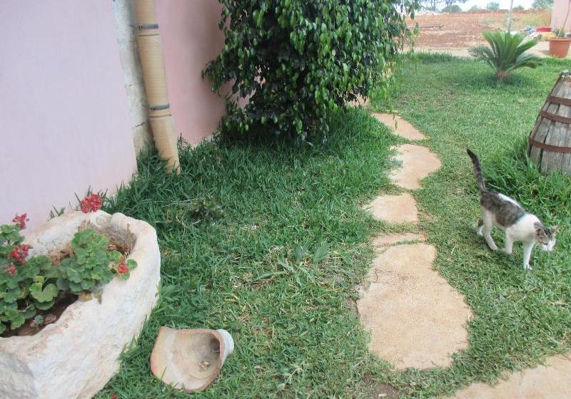 Le Mangiatoie Del Re Giordano