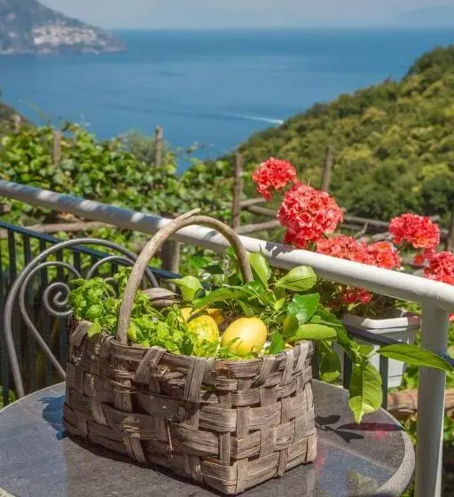 Villa Costanza Sorrento B&b