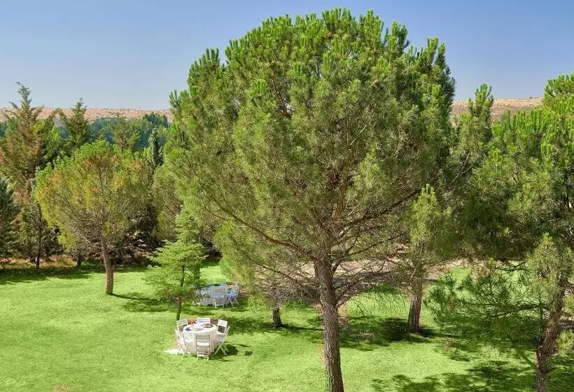 בית מלון כפרי Fontecruz ávila