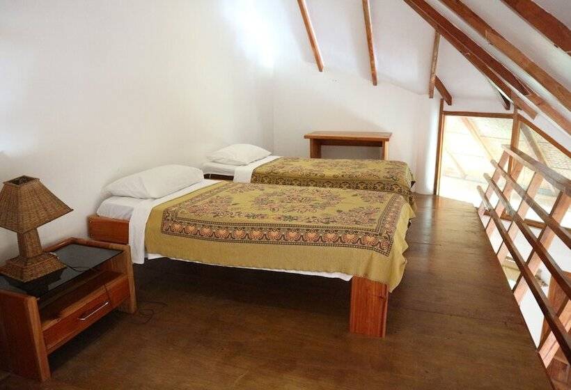 Hotel Nigi Nigi Nu Noos “e” Nu Nu Noos