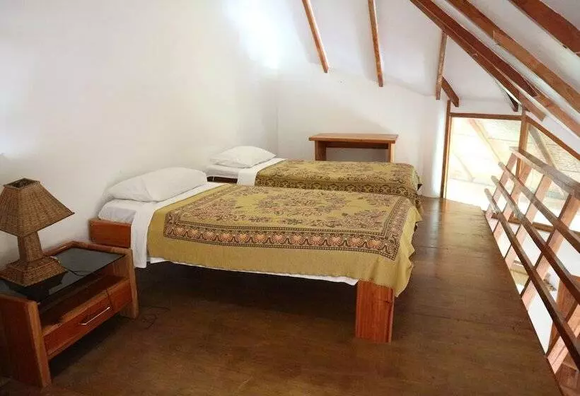 Hotell Nigi Nigi Nu Noos “e” Nu Nu Noos