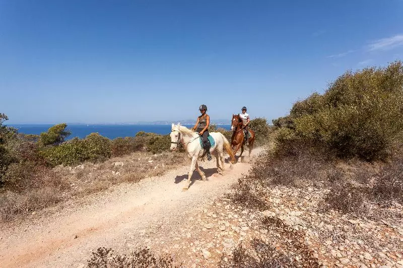 호텔 Sun Club El Dorado - All Inclusive