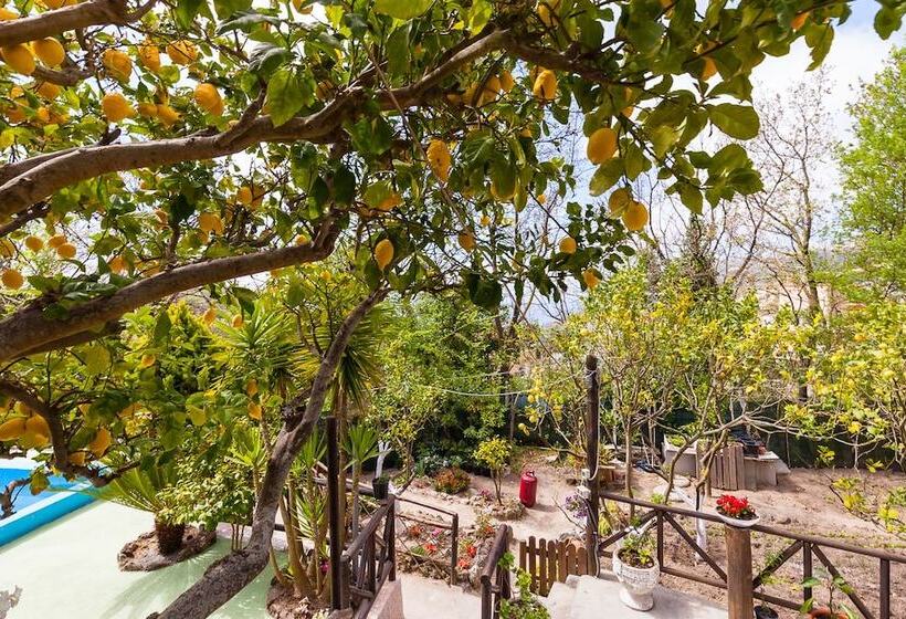 B&b Nitrodi Experience