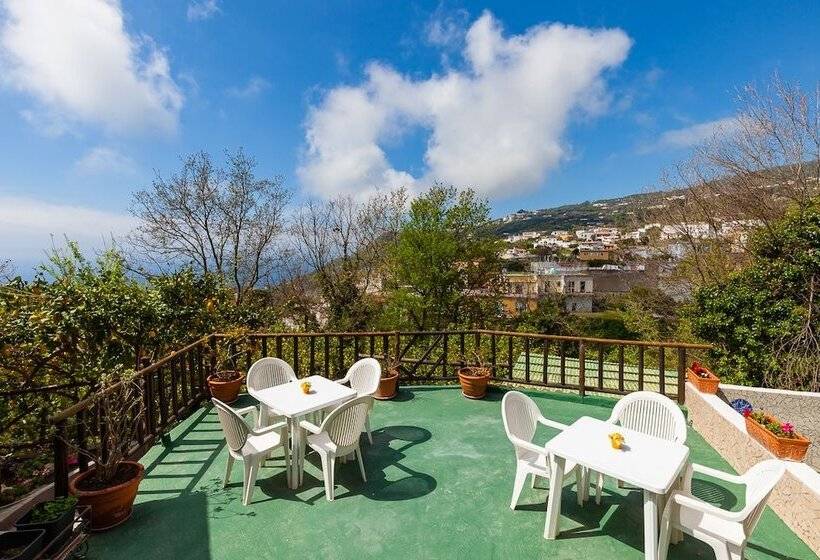 B&b Nitrodi Experience