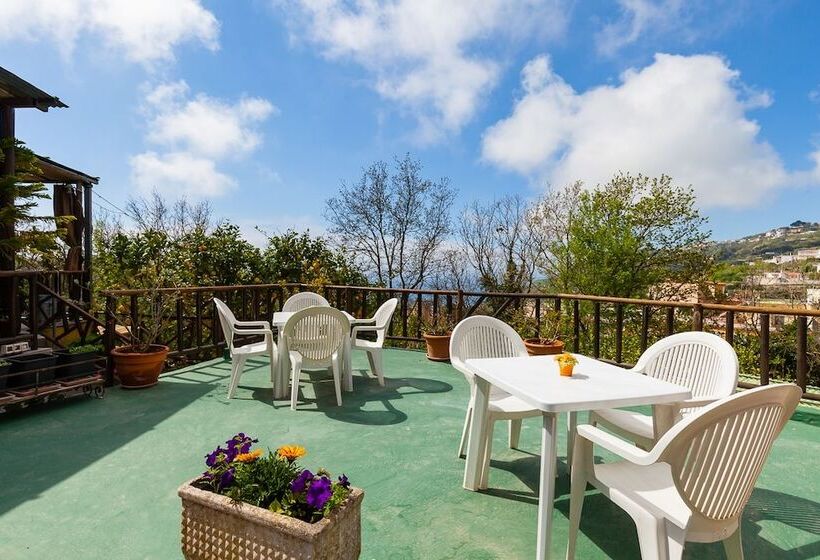 B&b Nitrodi Experience