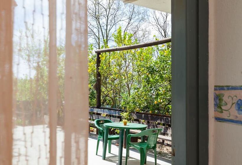 B&b Nitrodi Experience