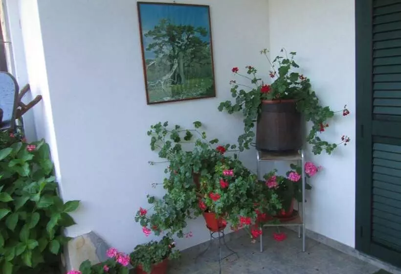 B&b Sole Del Pollino