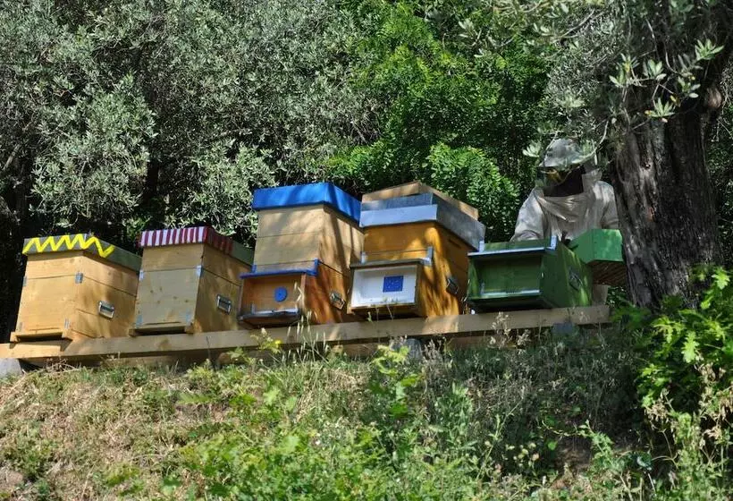 田舎風ホテル Podere La Piana