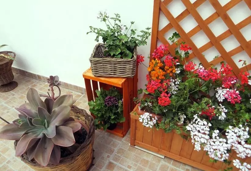 B&b Il Geranio