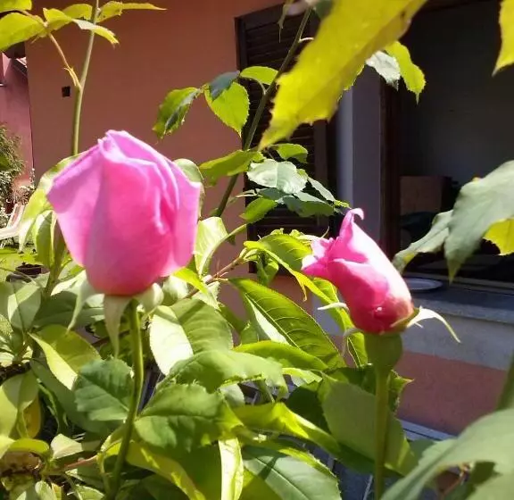 Aamiaismajoitus (B&B) Le Ginestre