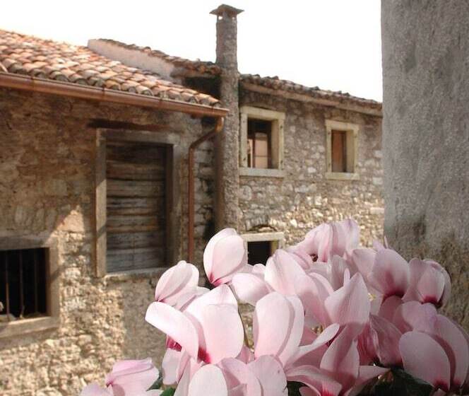 簡易ホテル Albergo Diffuso Valcellina E Val Vajont In Erto