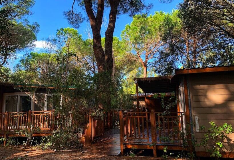 هتل Camping Maremma Sans Souci