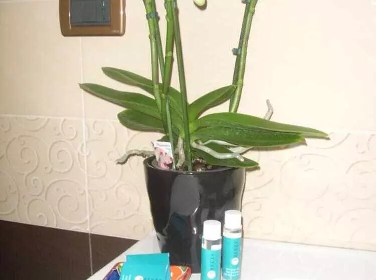 پانسیون B&b A Due Passi