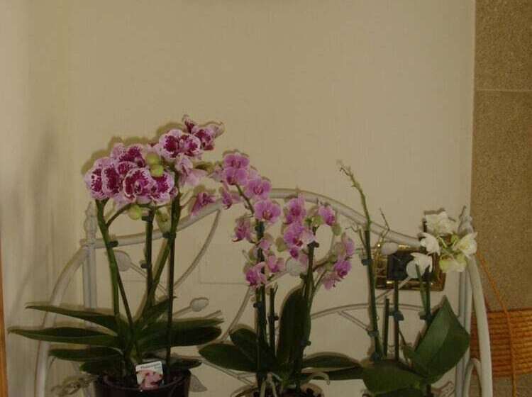 פנסיון B&b A Due Passi