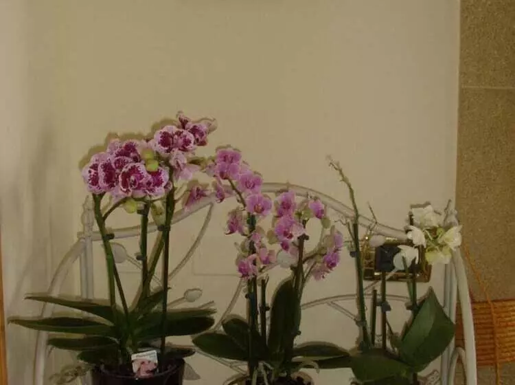 پانسیون B&b A Due Passi