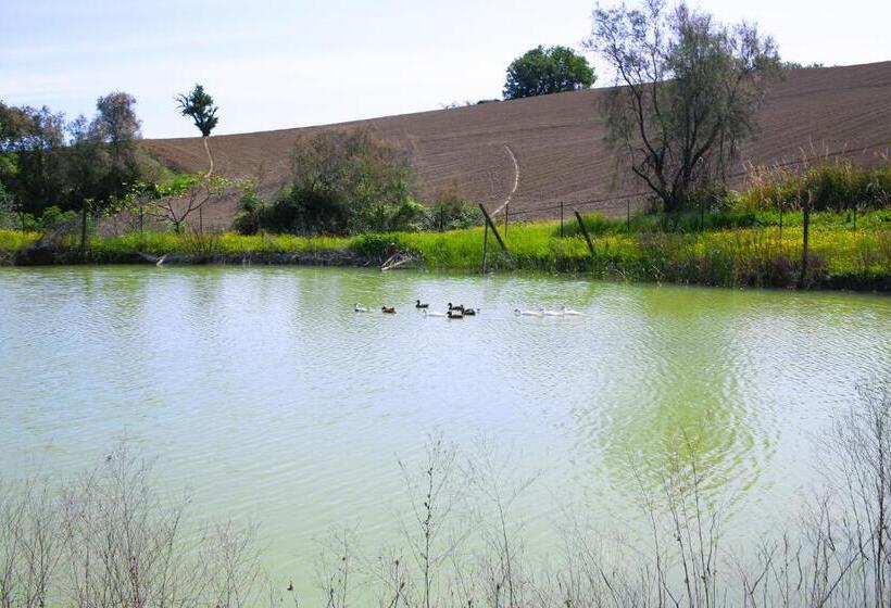 Agriturismo La Stradaccia