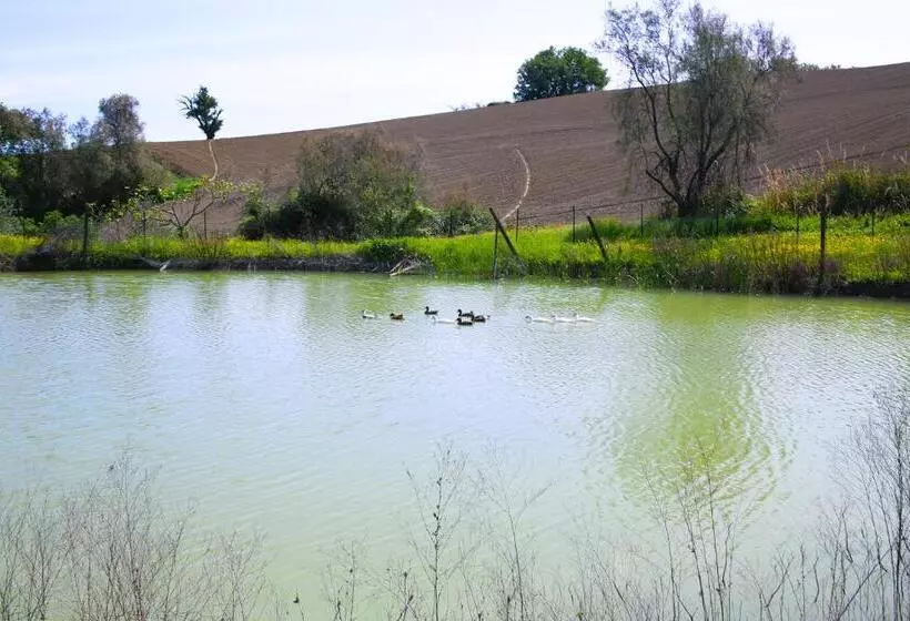 Agriturismo La Stradaccia