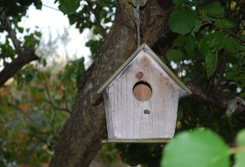 B&b Macchia Mediterranea