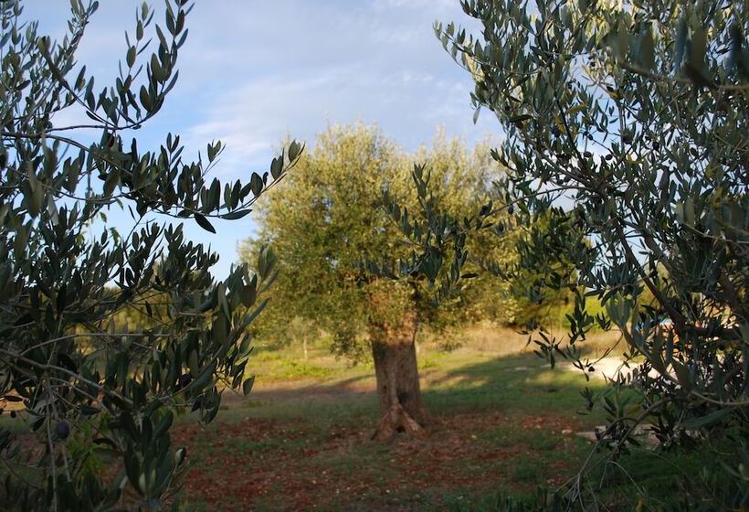 B&b Macchia Mediterranea