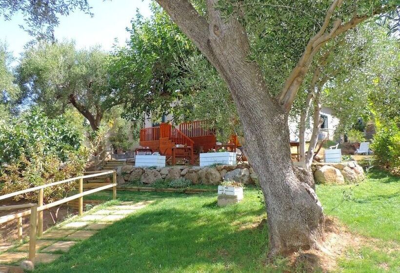 צימר Mediterraneo Rooms