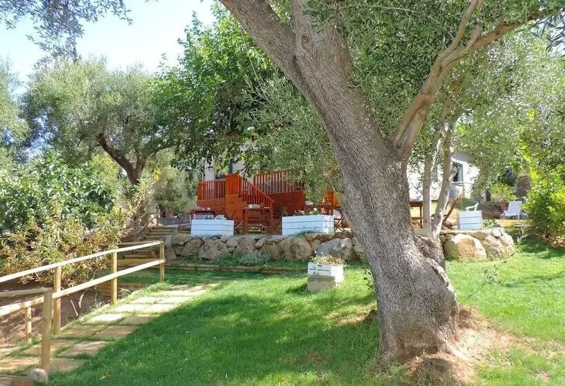 Aamiaismajoitus (B&B) Mediterraneo Rooms