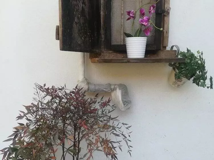 ペンション Le Camere Di Aladino