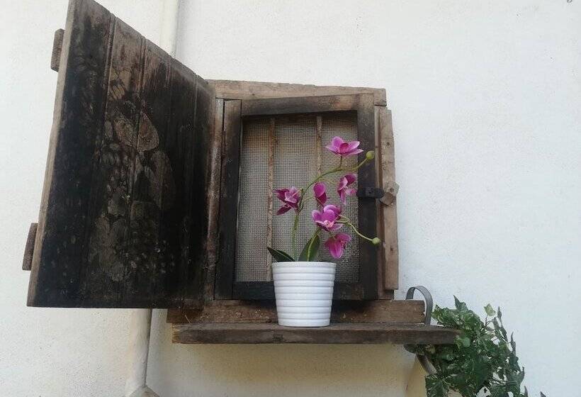 膳宿费 Le Camere Di Aladino