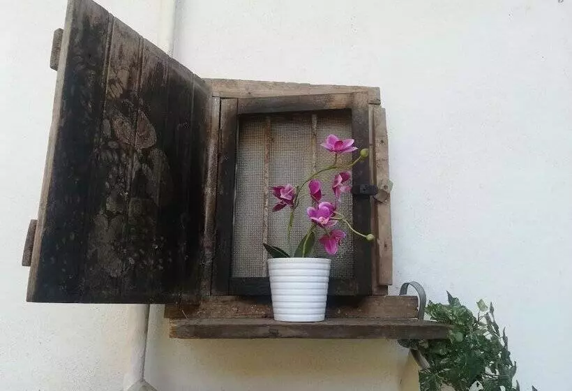 ペンション Le Camere Di Aladino