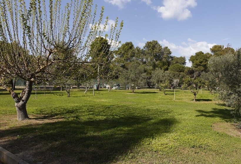 פנסיון San Vincenzo Resort