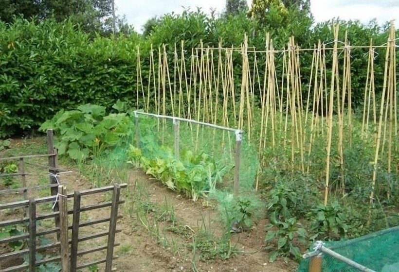 تختخواب و صبحانه Ortali Country House