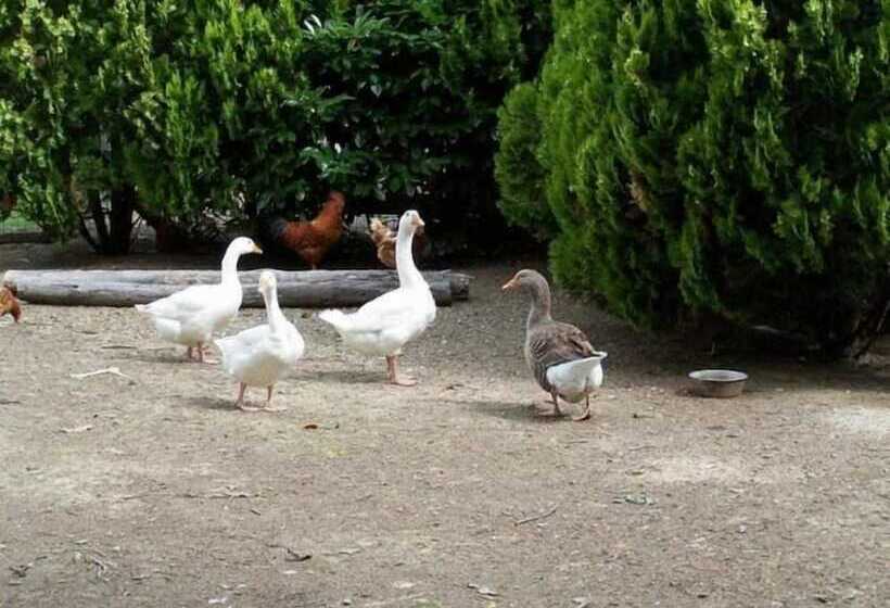 تختخواب و صبحانه Ortali Country House