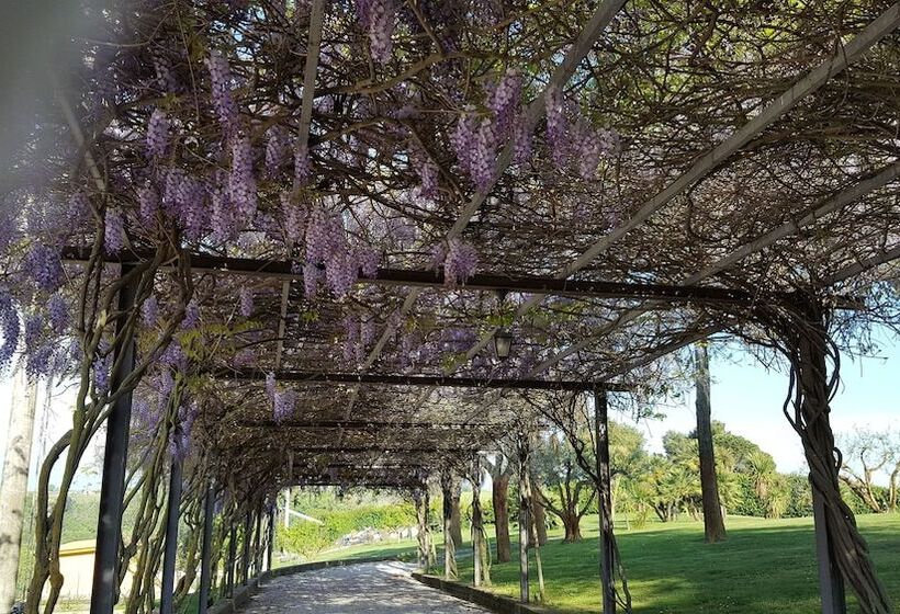 تختخواب و صبحانه Aquilamaior