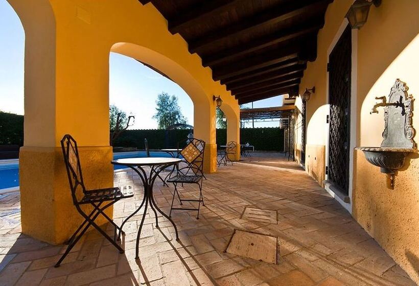 تختخواب و صبحانه Aquilamaior