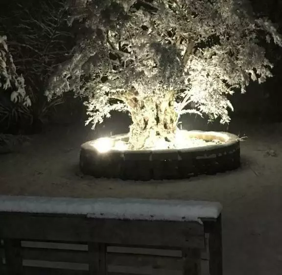 Aamiaismajoitus (B&B) Il Leccio