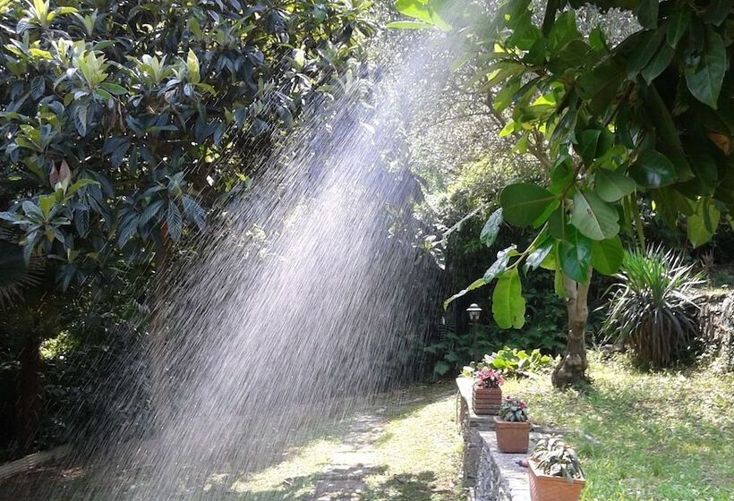 مبيت وإفطار Swanlake Rooms