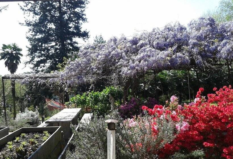 مبيت وإفطار Swanlake Rooms