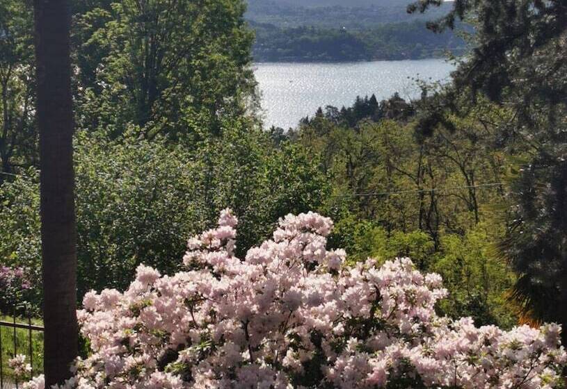 مبيت وإفطار Swanlake Rooms