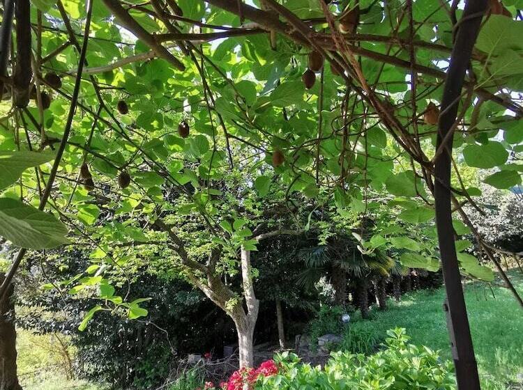 مبيت وإفطار Swanlake Rooms